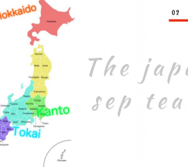 The japan sep team