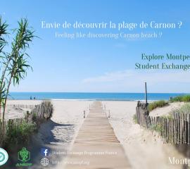 MONTPELLIER - Feeling like discovering Carnon beach?
