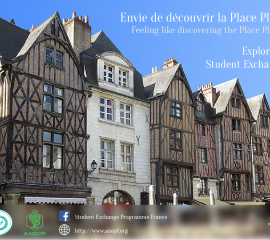 TOURS - Feeling like discovering the Place Plumereau? 