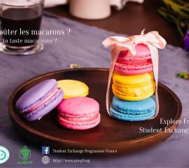 macarons - Do you want to taste macaroons?
