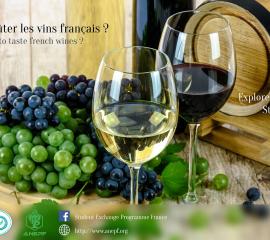 vin - Do you want to taste french wines?